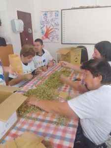 IMG-82ad86c9a353c201ef0760d64eec8e65-V