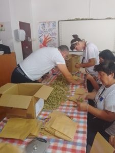IMG-9b3e71ce50f1716f73045fd969c6517b-V